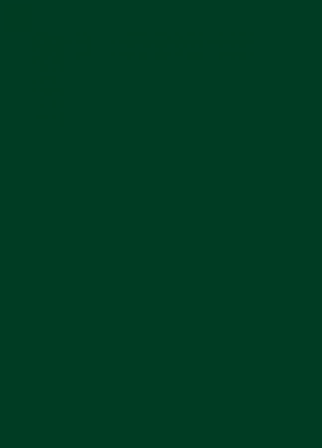 Фасады Фасад из акрила 060 Dark Green (Темно-зеленый) на заказ в Симферополе Фасады Фасад из акрила 060 Dark Green (Темно-зеленый) на заказ в Симферополе фотография