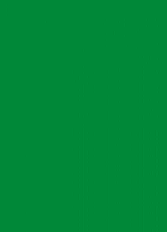 Фасады Фасад из акрила 062 Light green (Светло-зеленый) на заказ в Симферополе Фасады Фасад из акрила 062 Light green (Светло-зеленый) на заказ в Симферополе фотография