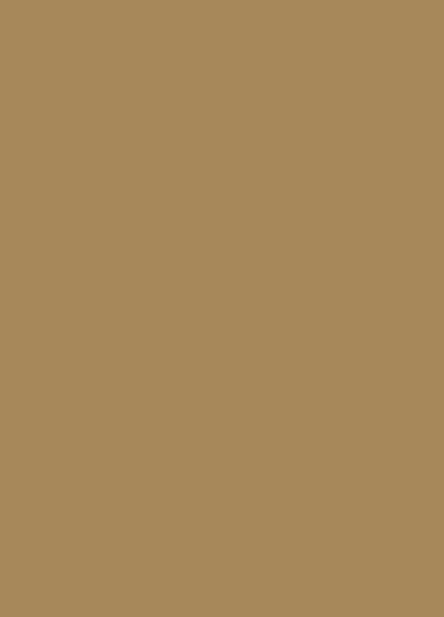 Фасады Фасад из акрила 081 Light brown (Светло-коричневый) на заказ в Симферополе фотография
