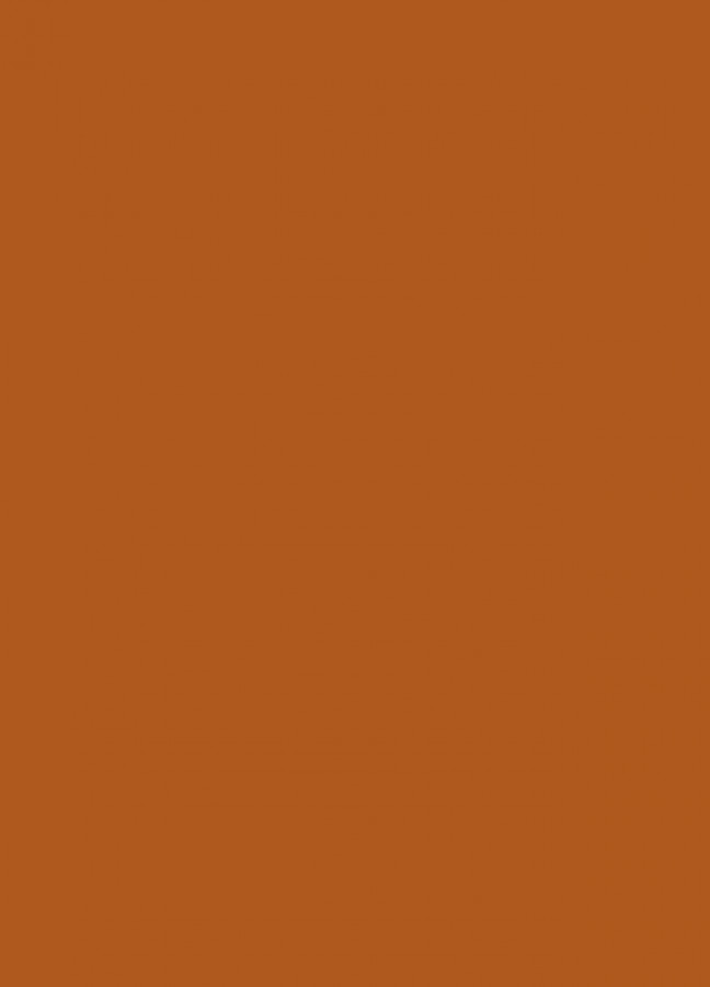 Фасады Фасад из акрила 083 Nut brown (Ореховый) на заказ в Симферополе фотография
