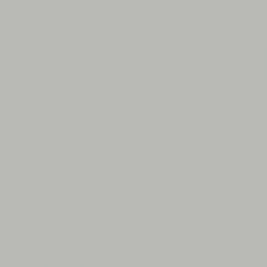 Grey-Metallic 9006 фотография
